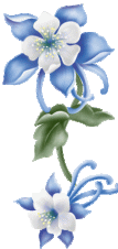 FATIMA : La paix dans le monde *Centenaire des Apparitions* Fleur-bleu