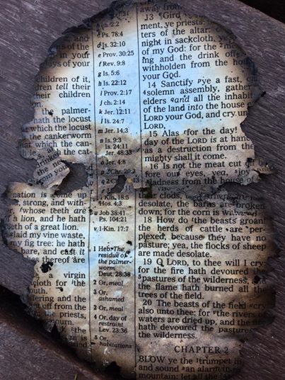 La page de la Bible brûlée trouvée en Novembre 2016 à proximité des feux de forêt à Gatlinburg (US) provoque des étincelles Page-dc3a9vangile-trouvc3a9-dans-les-dc3a9combres-apres-feu