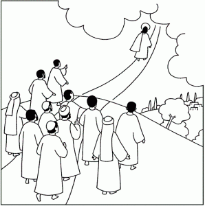 Dimanche des Rameaux : Jésus Notre Roi est acclamé *Voici le chemin de Pâques… Jc3a9sus-part-dc3a9sert